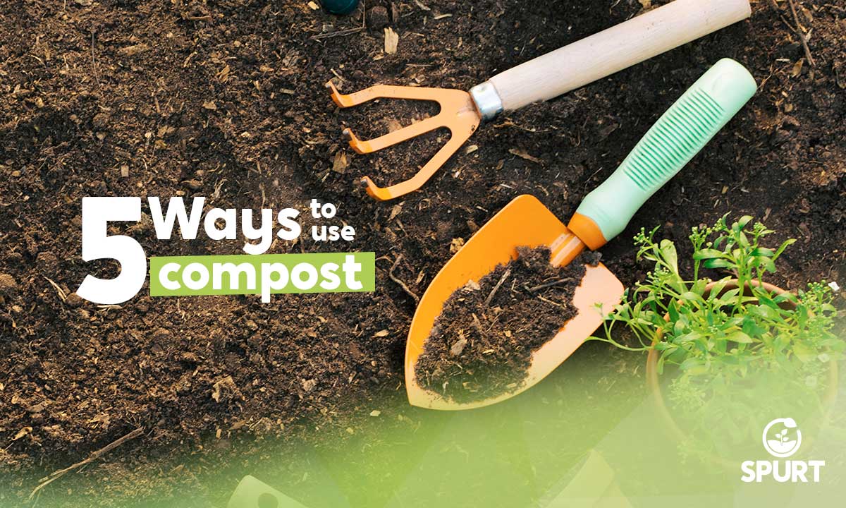 5 Ways to use compost Spurt