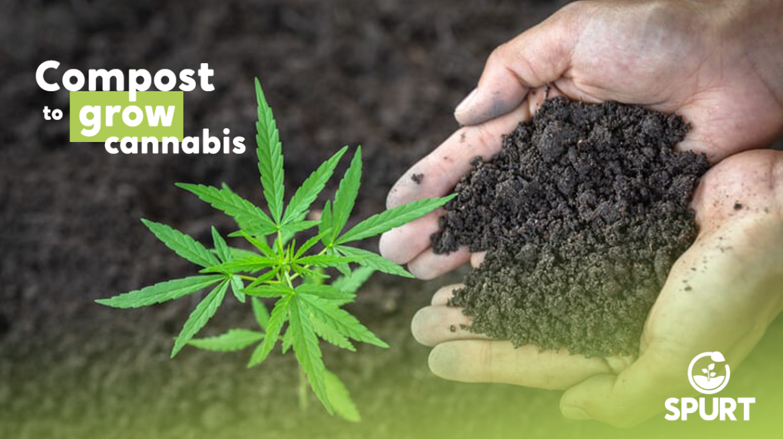 Compost to grow cannabis